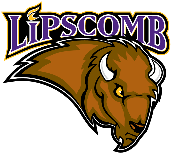 Lipscomb Bisons 2002-2011 Primary Logo diy fabric transfer